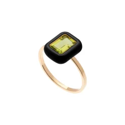 Anello Lingottino